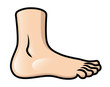 Vector: Foot Side View Foot Side View