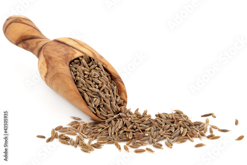 Photo: Caraway Seed Caraway Seed