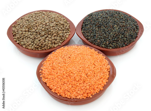 Photo: Lentil Varieties Lentil Varieties