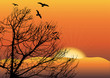 Vector: black tree in sunset black tree in sunset