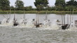Water turbines on Shrimp ponds