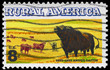 USA - CIRCA 1973 Cattle
