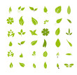 Feuilles