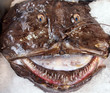 Seetuefel