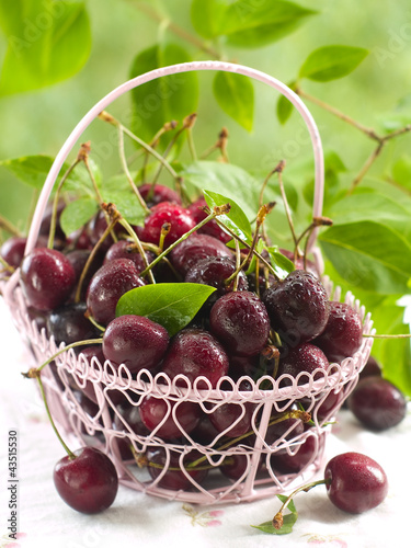 Photo: cherry cherry
