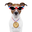olympic dog