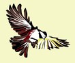 Fliegender Vogel