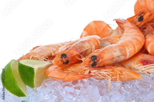 Photo: Scampi Scampi