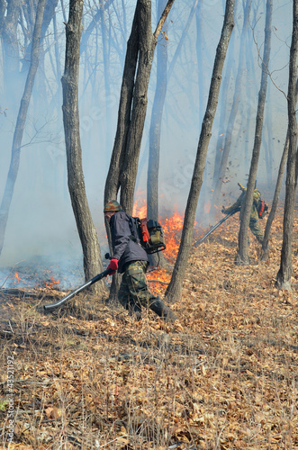 Photo: Suppression of forest fire 62 Suppression of forest fire 62
