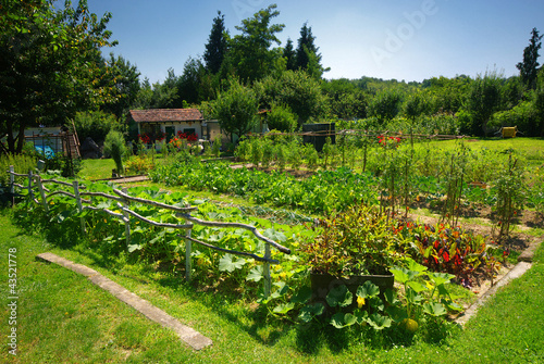 Photo: Potager bio. Potager bio.