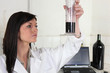 Foto: Woman checking wine Woman checking wine