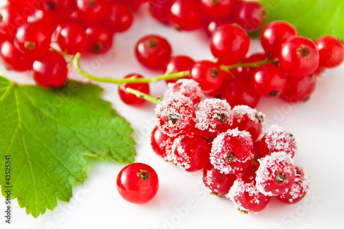 Foto: Johannisbeeren Johannisbeeren