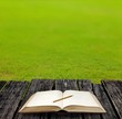 Photo: Open book in the garden Open book in the garden