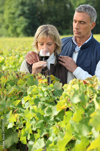 Photo: Couple tasting wine in a vineyard Couple tasting wine in a vineyard