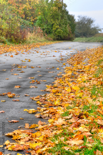 Foto: Nasse Straße im Herbst, Rutschgefahr, Laub, Straßenreinigung Nasse Straße im Herbst, Rutschgefahr, Laub, Straßenreinigung