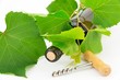 bottiglia di vino con tralcio d'uva