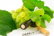 Bottle of wine with grape vines