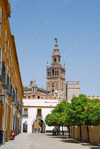 Photo: Giralda tower seen from Alcazar (Seville - Spain) Giralda tower seen from Alcazar (Seville - Spain)