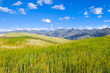 beautiful ecology scene