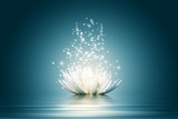 Lotus flower