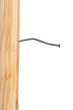 Wooden board with nails