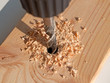 Holzbohrer