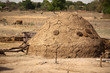 Cow dung-the best natural fertiliser