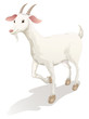 goat