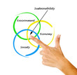 Presentation of diagram of sustainability