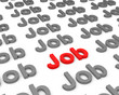 Der Job