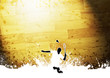 Badminton