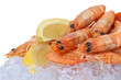 Scampi