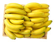 Photo: Banane Banane