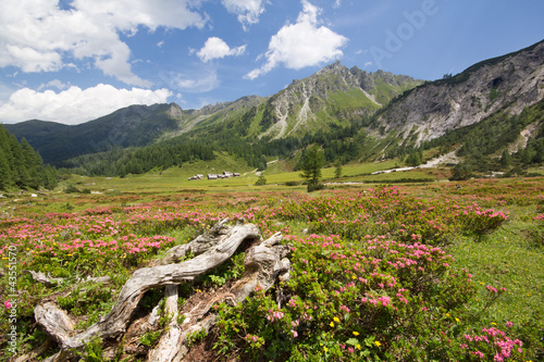 Photo: Ursprungalm - Schladming - Österreich Ursprungalm - Schladming - Österreich