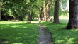 Video: Woman jogging in the park, slow motion Woman jogging in the park, slow motion