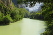 Deep jungle, Amazonia