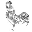 rooster abstrakt