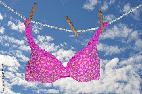 Photo: pink bra on clothesline pink bra on clothesline