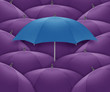 umbrella