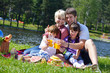 Happy family playing together in a picnic outdoors