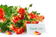 bouquet of red roses