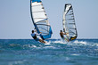 Windsurfers in action