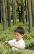 A boy playing with grasses in the forest