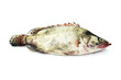 Raw fish
