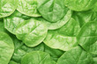 Vegetable leaves
