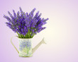 Foto: Innaffiatoio con lavanda Innaffiatoio con lavanda