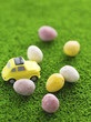 Mini eggs on grass