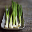 High angle close up of some spring onion
