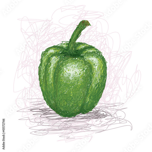 Vector: fresh green bell pepper vegetable fresh green bell pepper vegetable