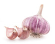 Garlic isolated on white background